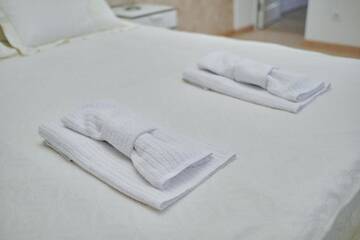 Фото номера Апартаменты с 2 спальнями Апартаменты City centre apartment г. Коломыя 16