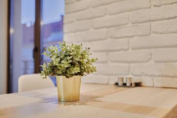 Фото номера Апартаменты с 2 спальнями Апартаменты City centre apartment г. Коломыя 23
